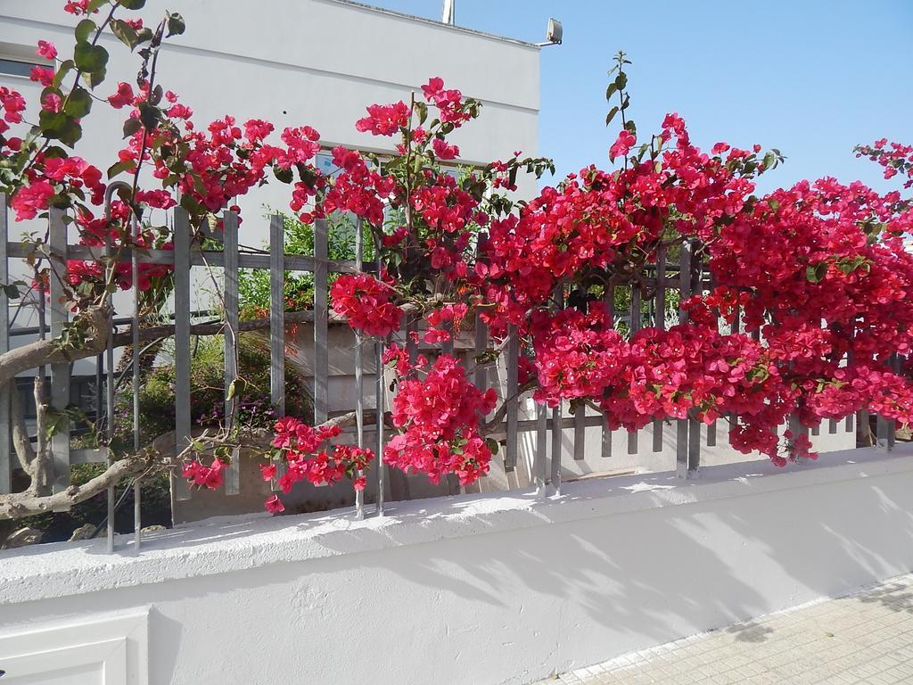 Casa de hóspedes Monte Sant' Angelo *